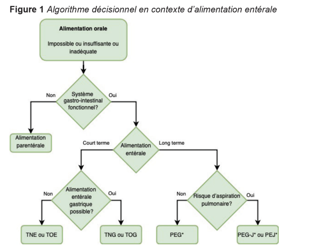 Figure 1 percutaneous enteral feeding tube French case study