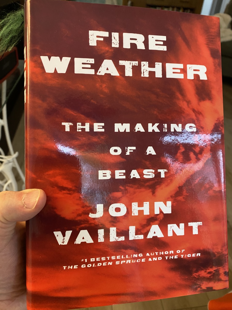 Picture of book Fire leather by John Vaillant