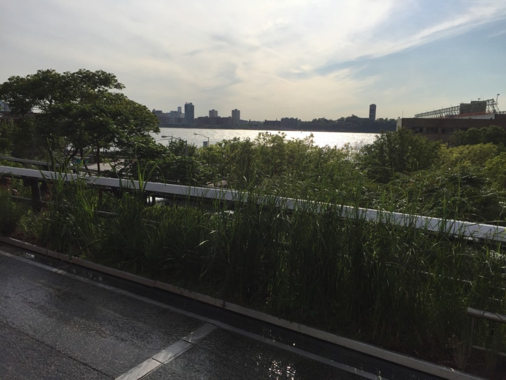 Opencity Inc., Love Lose - May, High Line