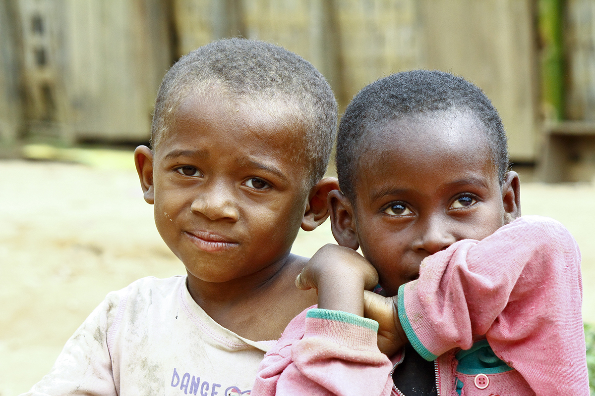 Charity Spotlight feature insights