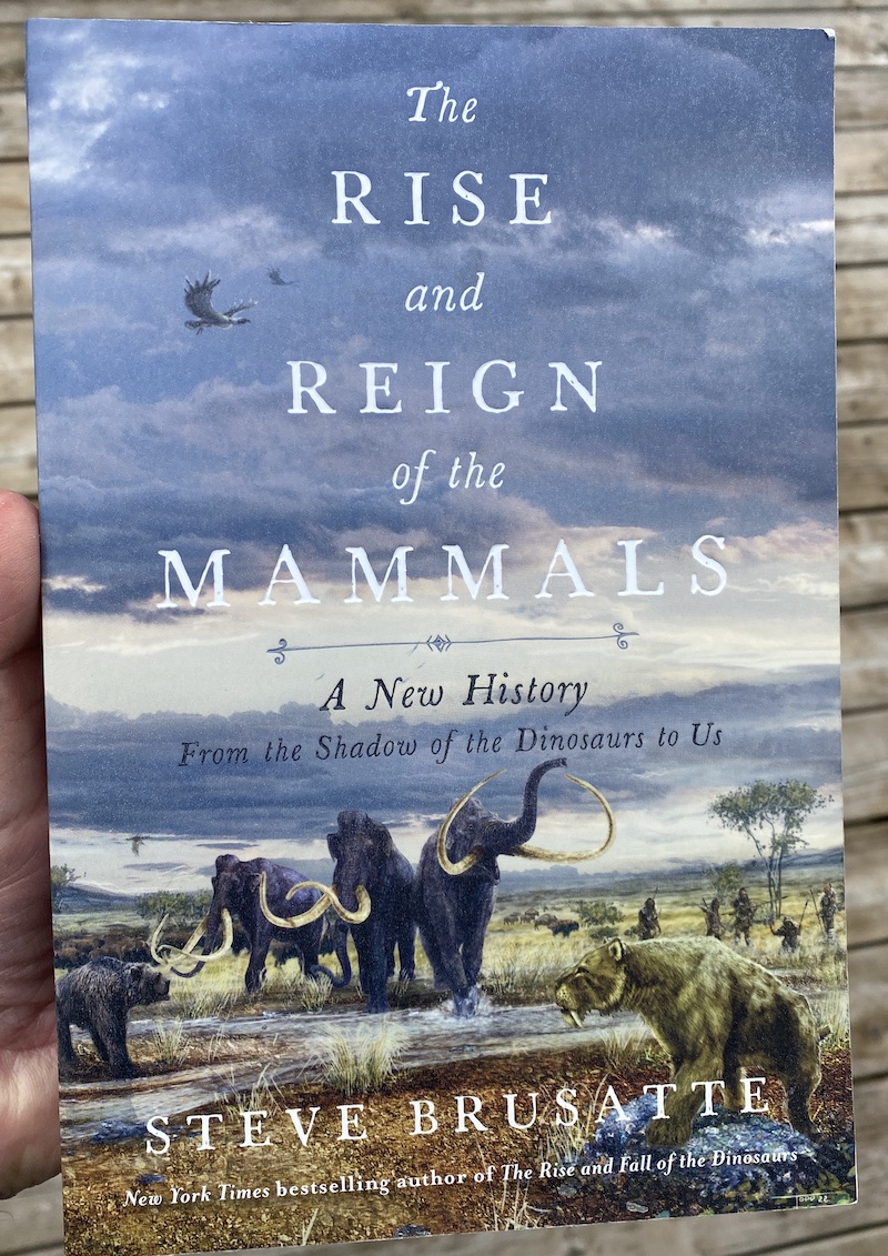 The Rise and Reign of the Mammals by Steve Brusatte - OpencityInc recommended reads from 2022