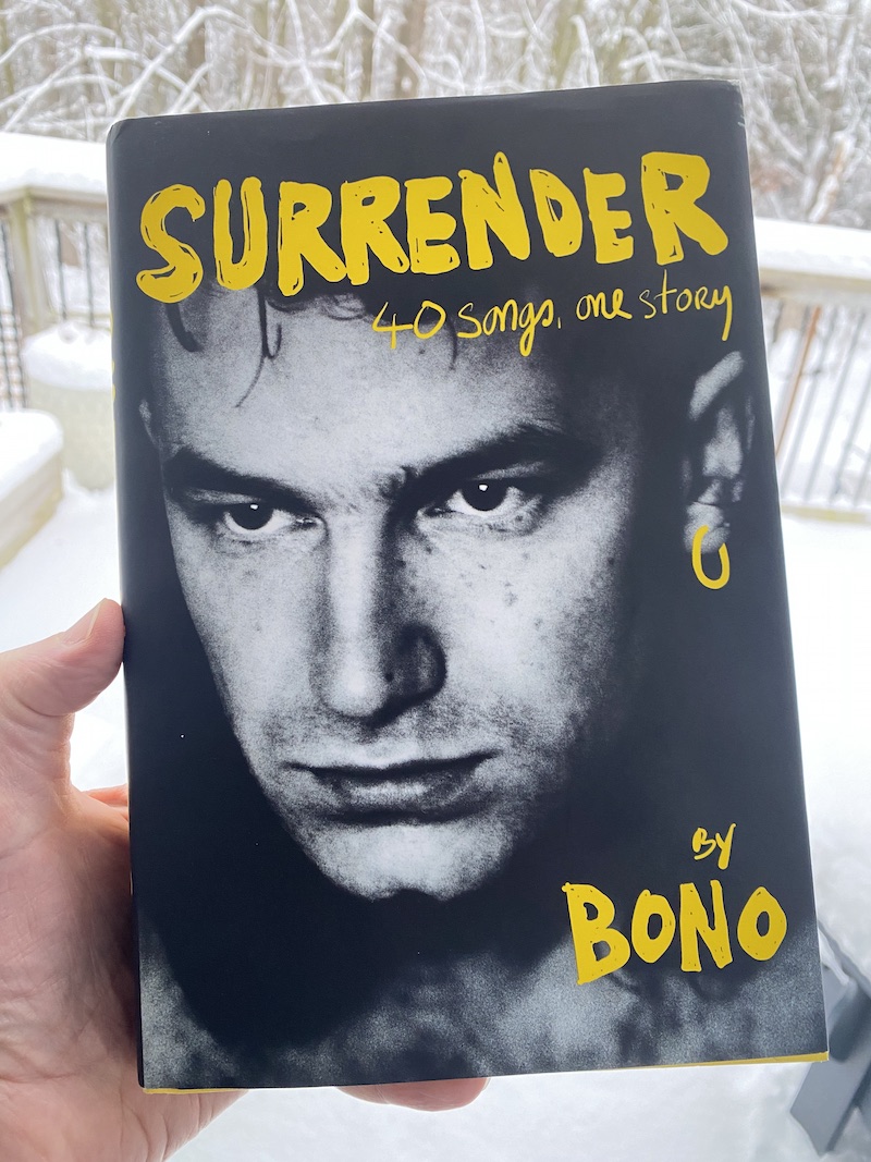 Surrender by Bobo - OpencityInc recommended reads from 2022