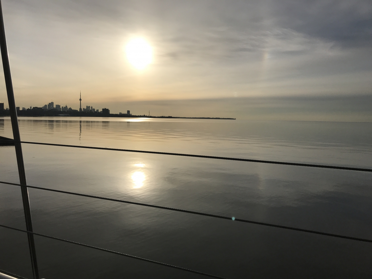 7 Toronto Health Innovation Week reads