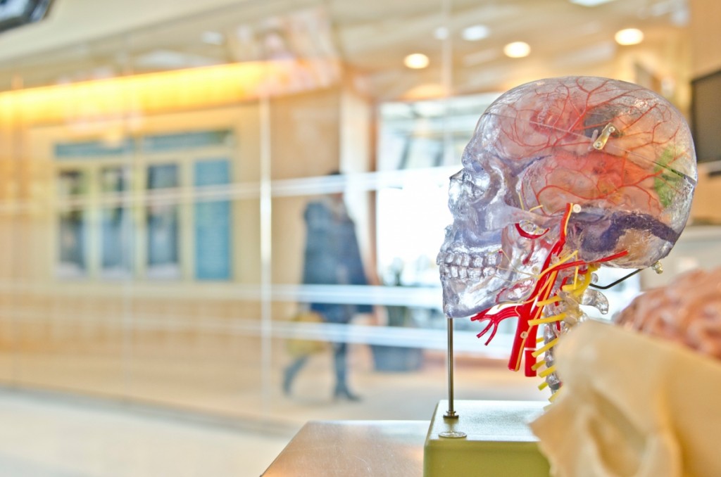 brain-surgery-jesse-orrico-60373-upsplash-2017-recommended-reads